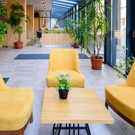 Hotel Avenue 3*
