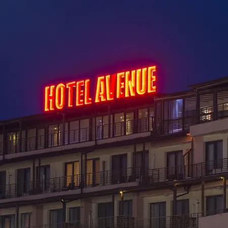 Avenue Hotel 3*